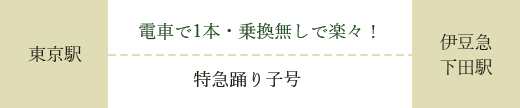 東京駅から伊豆下田駅まで特急踊り子号で1本・乗換無しで楽々！