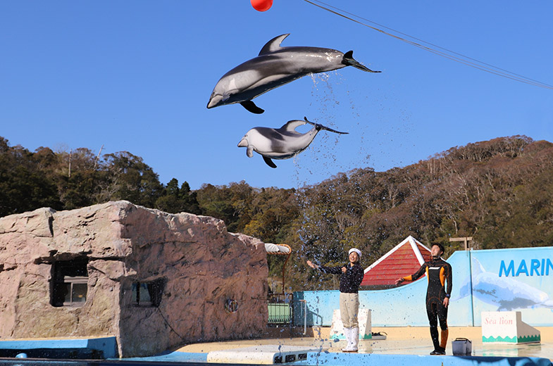 下田海中水族館