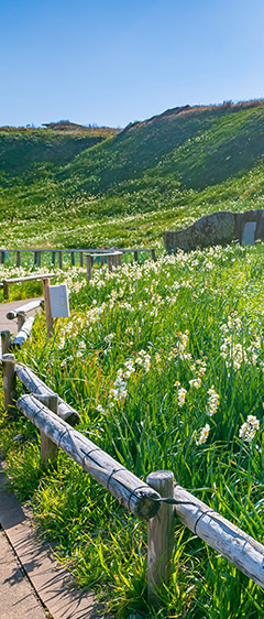 美しい里山の景観